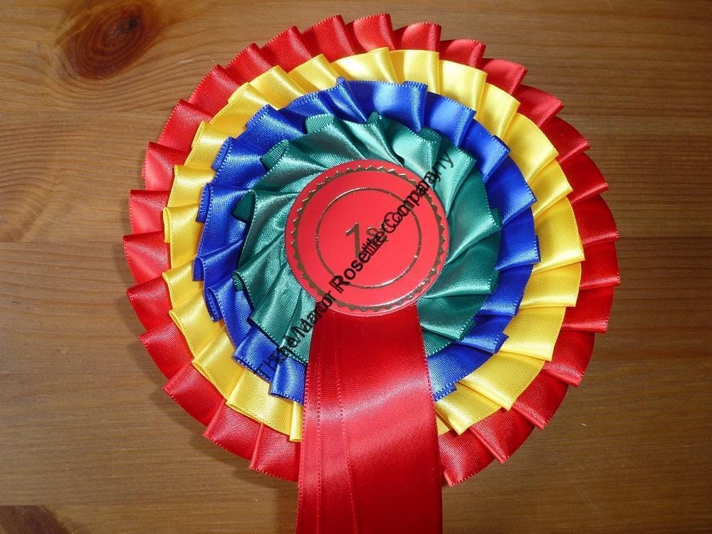 4 Tier Kent Personalised 1st Place Rainbow Rosette - Image 2