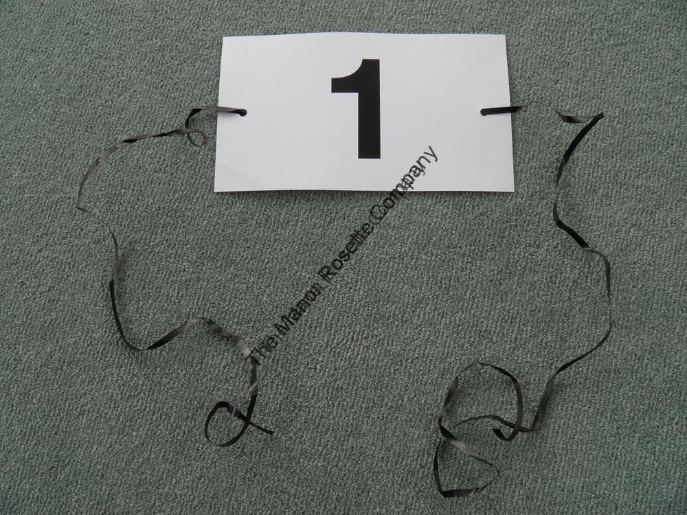 Show Competiton Numbers - Image 3
