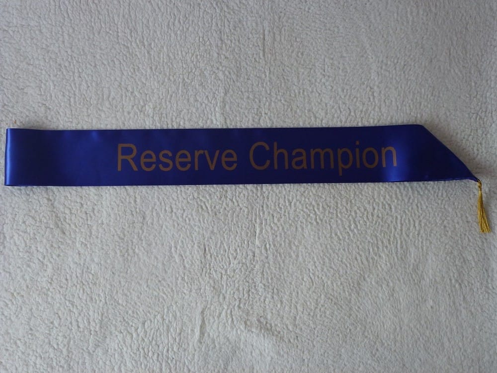 3ft 100mm Stock Blue Colour Reserve Champion Sash - Image 4