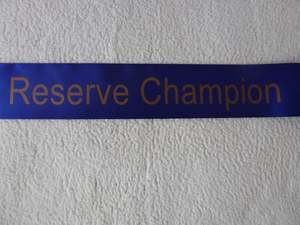 3ft 100mm Stock Blue Colour Reserve Champion Sash - Image 3