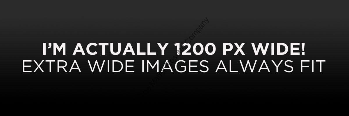 Image Alignment 1200x400 Image Alignment 1200x400