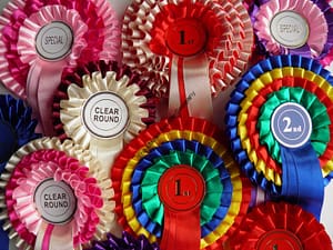 rosette colleague - poster home
