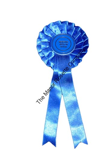 2 Tier Reserve Best In Show Stock Rosette