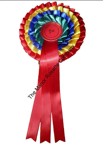4 Tier Kent Personalised 1st Place Rainbow Rosette