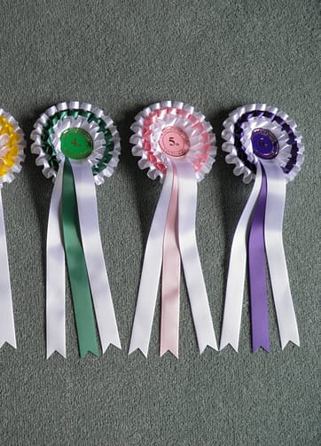 1 set of 3 tier Worcester rosettes (1st - 6th)