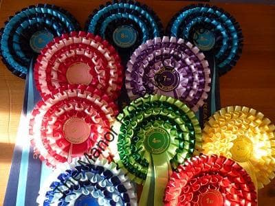 5 Tier Personalised Worcester Rosettes