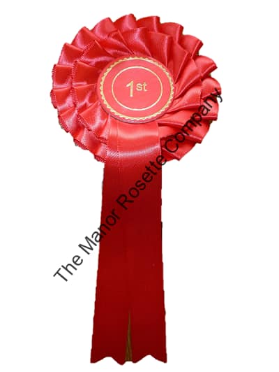 2 Tier Set of 1st - 6th Stock Rosettes - Image 2