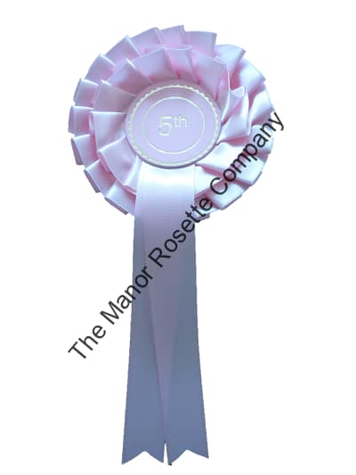2 Tier Set of 1st - 6th Stock Rosettes - Image 6