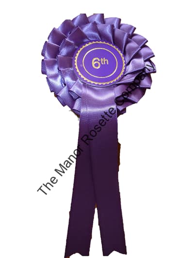 2 Tier Set of 1st - 6th Stock Rosettes - Image 7