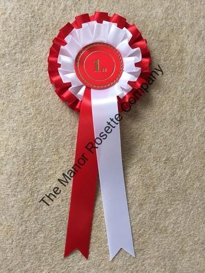 1 set of 1st-6th 2 Tier Personalised Worcester Rosettes - Image 5