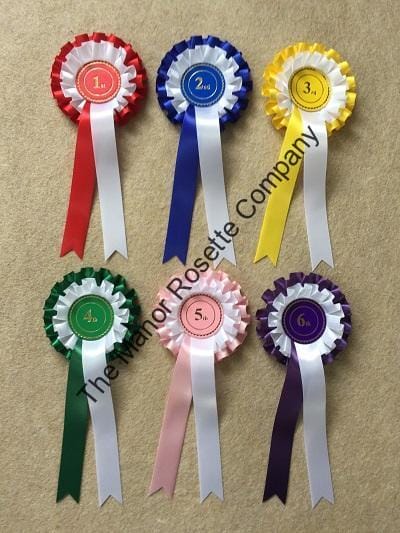 1 set of 1st-6th 2 Tier Personalised Worcester Rosettes