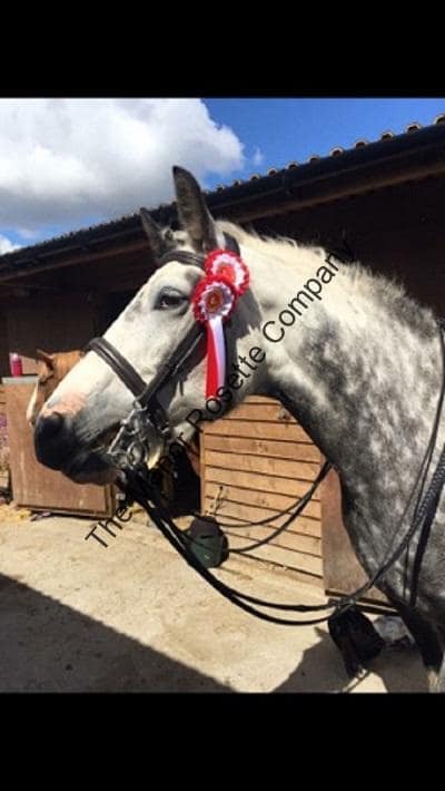 2 Tier Kent Personalised Rosette - Image 2