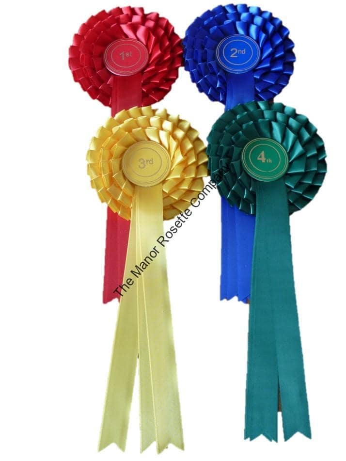 3 tier Set of 1st to 4th Stock Rosettes - Image 2