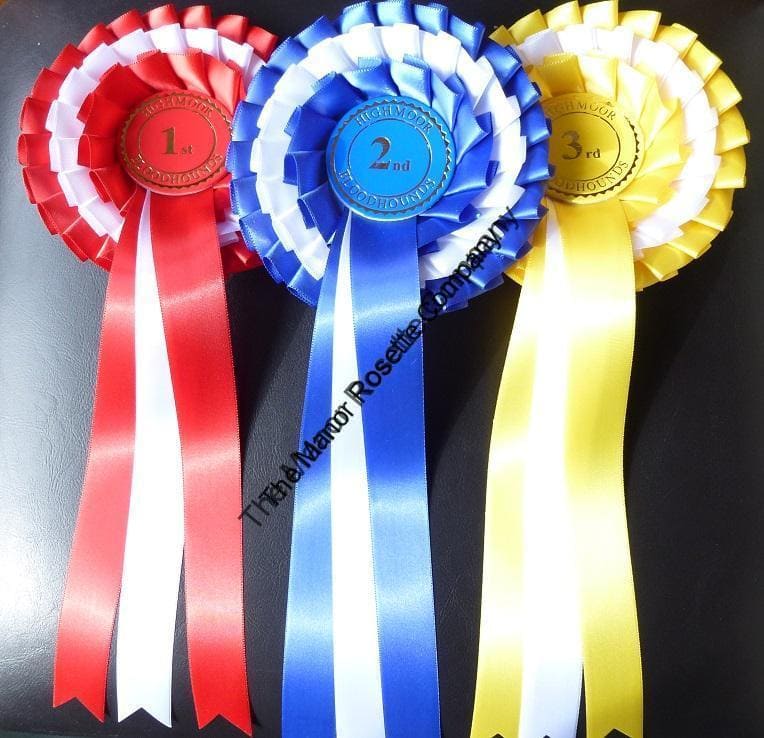 3 Tier Kent Personalised Rosettes 1st to 6th With White
